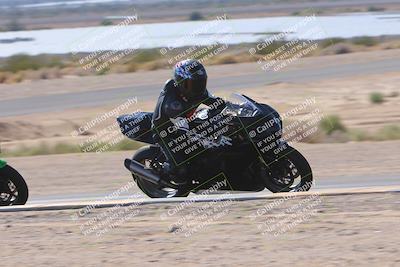 media/Nov-12-2023-SoCal Trackdays (Sun) [[5d1fba4e7d]]/Turn 9 Inside (1050am)/